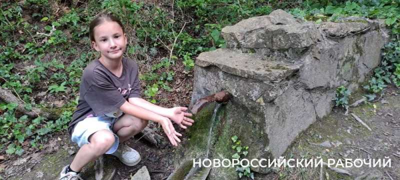 Дерево-медведь, молодильные родники, поляна наяд и каньоны. Куда пойти на выходные в Новороссийске
