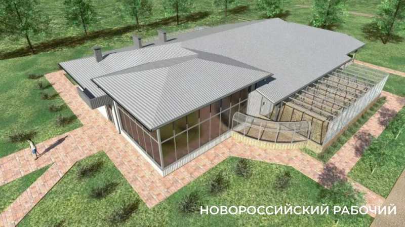 Гостиница, свежая форель, павильон для черепах – чего ждать в Новороссийске после ПМЭФ-2026