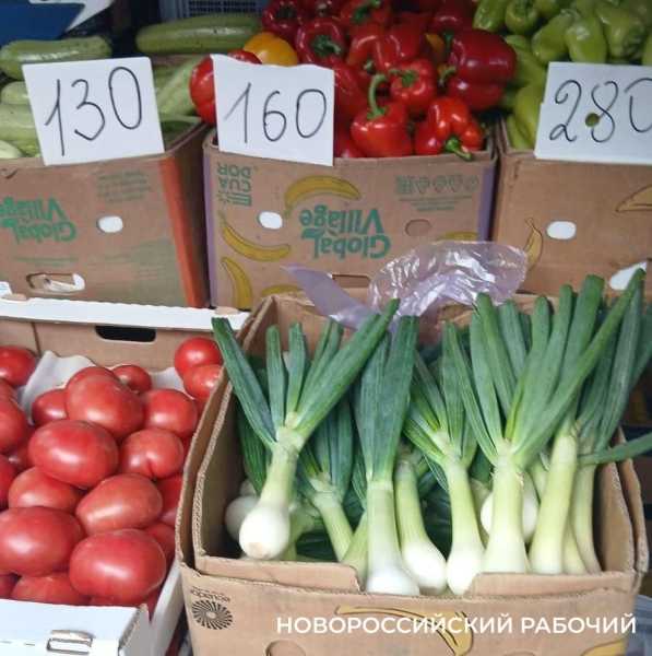 На торговых прилавках Новороссийска конкурируют молодые и «старые»овощи