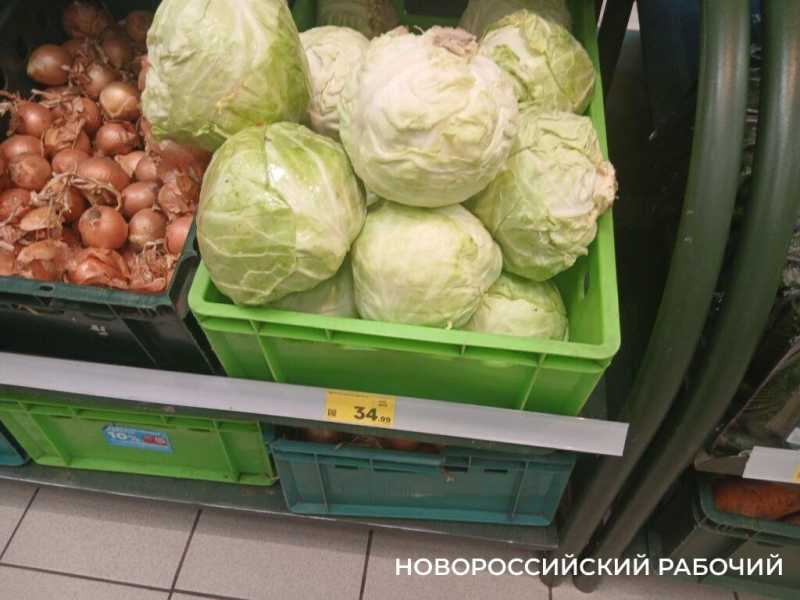 На торговых прилавках Новороссийска конкурируют молодые и «старые»овощи