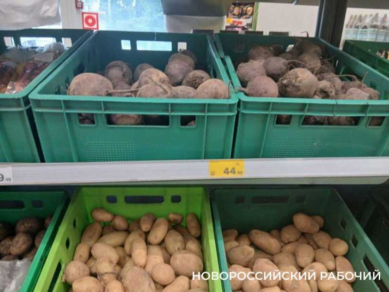 На торговых прилавках Новороссийска конкурируют молодые и «старые»овощи