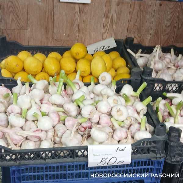 На торговых прилавках Новороссийска конкурируют молодые и «старые»овощи