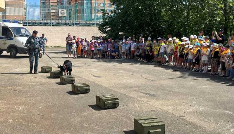 Накануне Дня кинологического подразделения полицейские провели познавательные мероприятия для юных новороссийцев