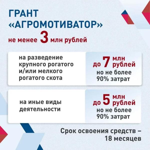 Новороссийцам – участникам СВО и их семьям помогут начать свой бизнес
