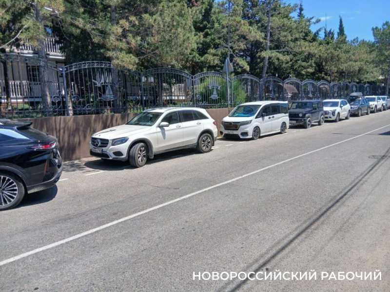 Новороссийцы дают советы, как в море найти теплое место
