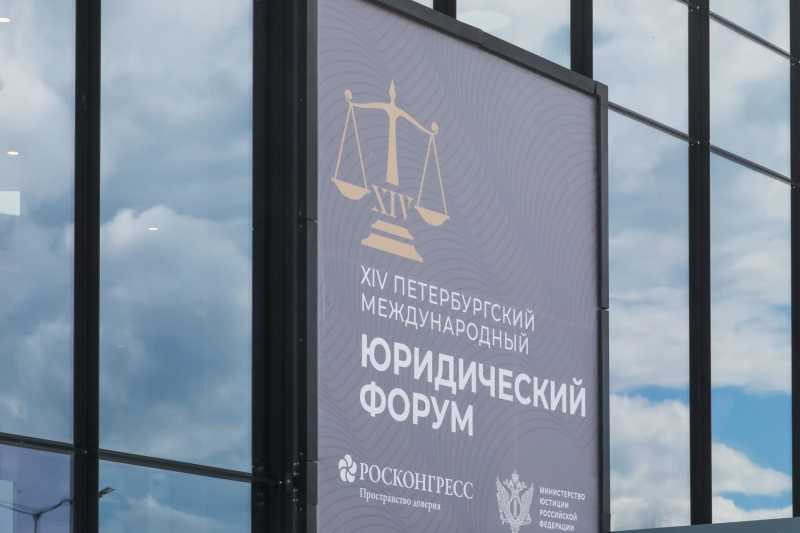 При снижении числа заявлений о привлечении к субсидиарной ответственности растут поступления в бюджет, - Константин Чекмышев
