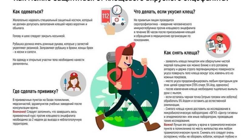 Санпросвет: Профилактика вирусного клещевого энцефалита. Алгоритм действий при обнаружении клеща