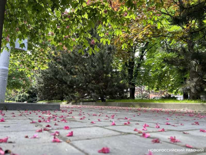 Совет дня на 11 июня: если боишься что-то потерять, потеряй и больше не бойся