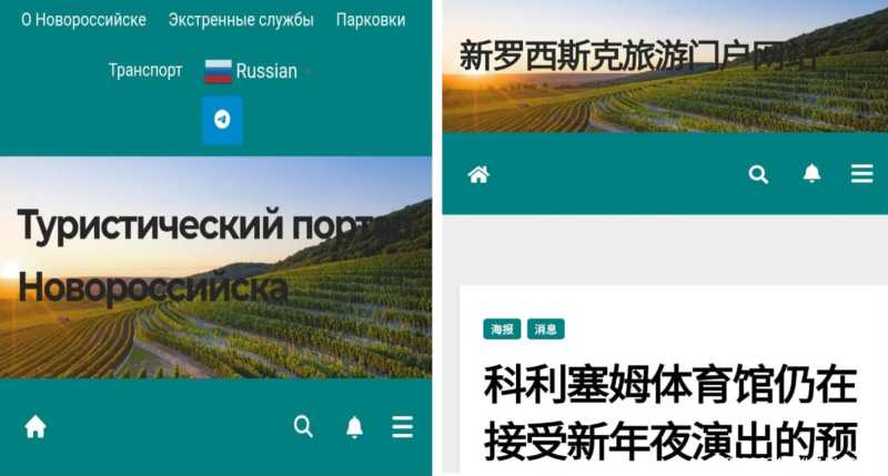 В Новороссийске хотят реализовать совместный проект с дружественными странами