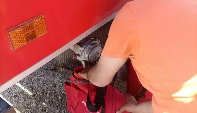 В Новороссийске локализовано возгорание на одном из склонов Маркотхского хребта