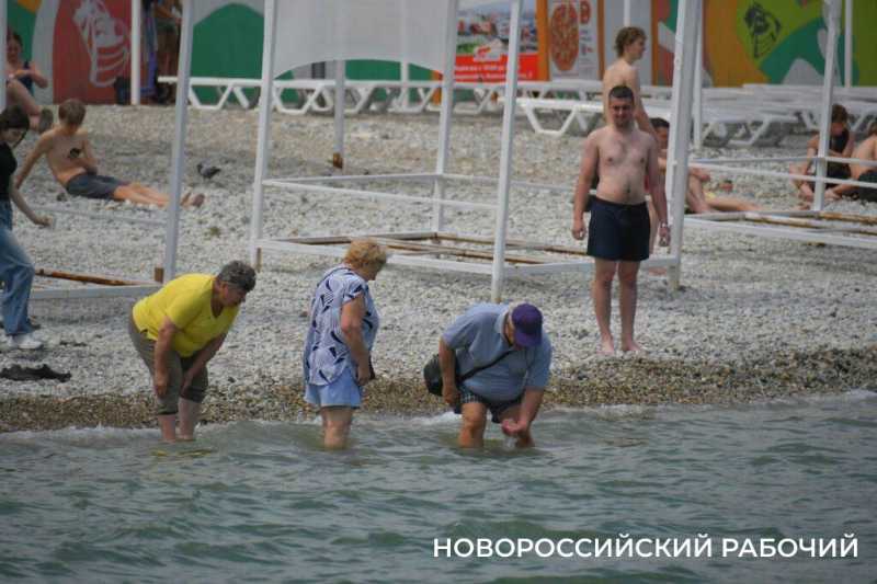 В Новороссийске на горпляже будут бесплатные лежаки. Кто сэкономит на тени