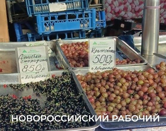 В Новороссийске начали снижаться цены на ягоды