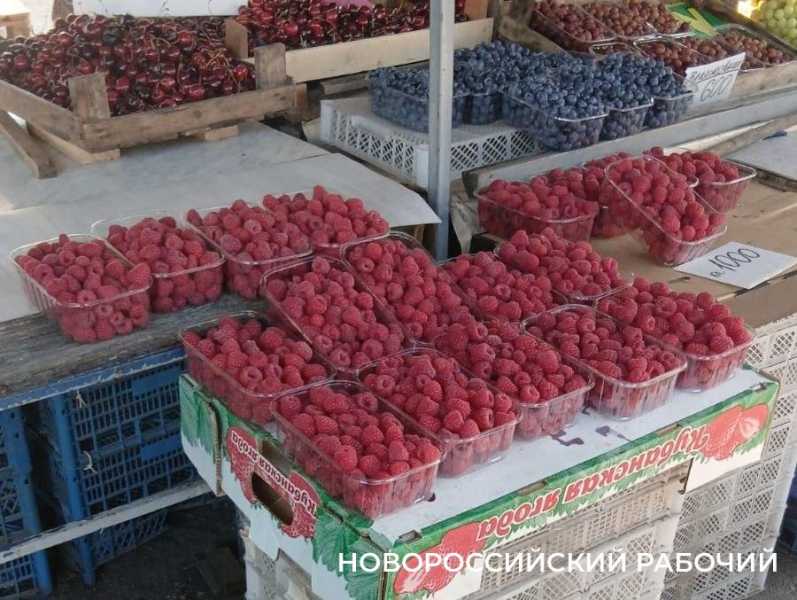 В Новороссийске начали снижаться цены на ягоды