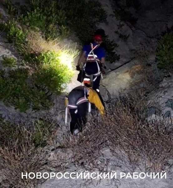 В Новороссийске отдыхающие «впали в ступор» на горе и позвали спасателей