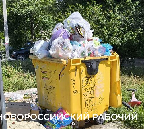 В Новороссийске за одну контейнерную площадку отвечают 6 организаций. Поэтому там нет порядка ?