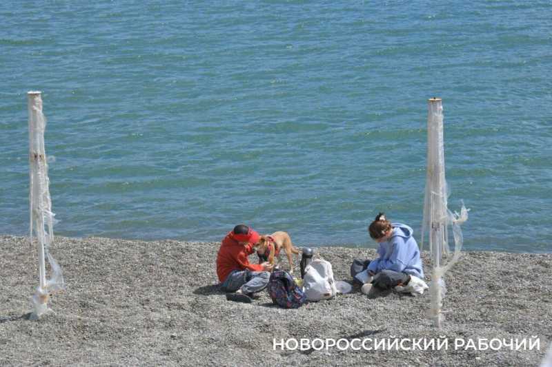 Жители Новороссийска просят освободить их от платы за лежаки, если они живут рядом с пляжем &nbsp;