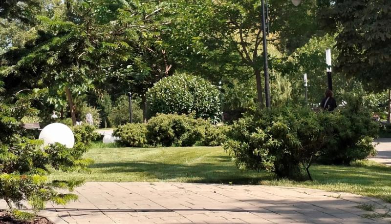 Информация о качестве атмосферного воздуха в городе Новороссийске за период наблюдений 03 – 04 августа