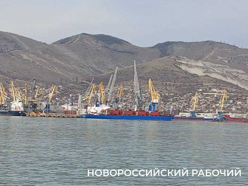 Из Новороссийска в Колумбию отправили первую за три года партию пшеницы