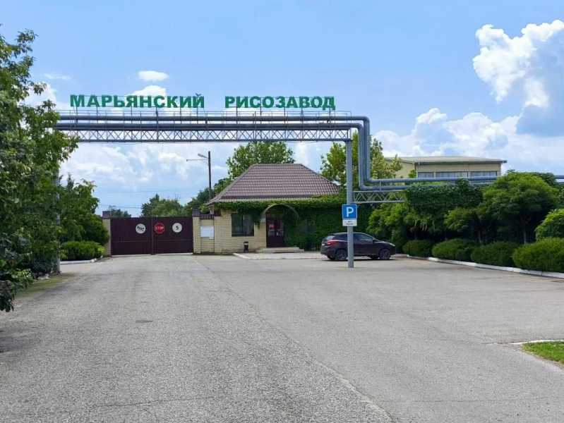 Кубанский производитель рисовой крупы приступил к перенастройке процессов