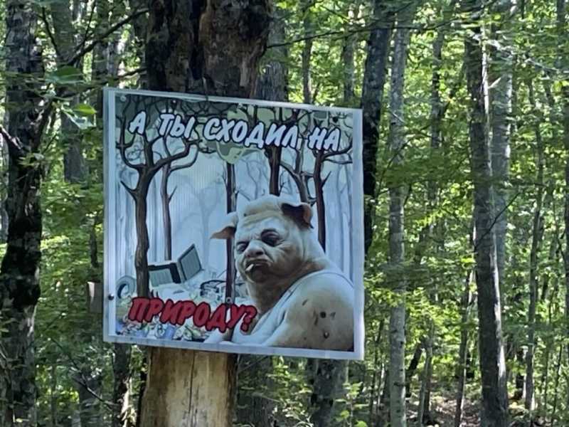 Лесной шашлык за 40 тысяч. В Новороссийске прошел рейд&nbsp;