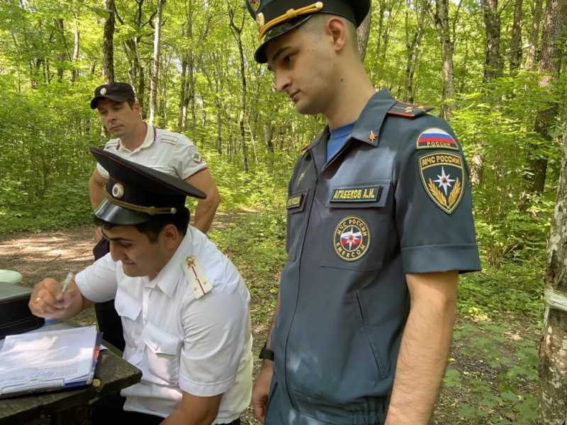 Лесной шашлык за 40 тысяч. В Новороссийске прошел рейд&nbsp;