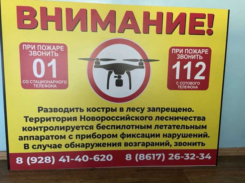 Лесной шашлык за 40 тысяч. В Новороссийске прошел рейд&nbsp;