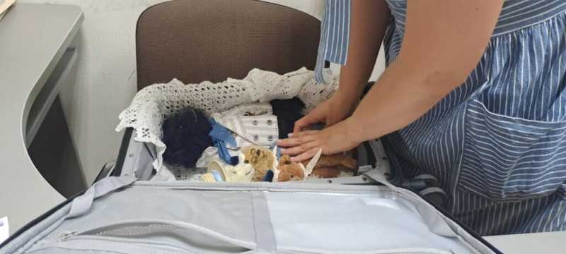 Мастерица из Новороссийска возит в Китай на кукольные балы своих мишек Тедди