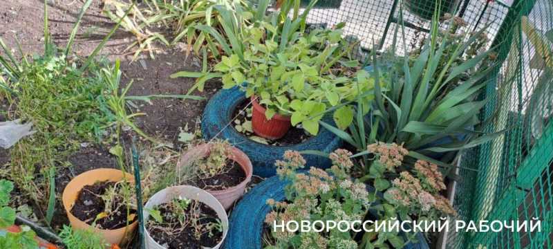 Моряк из Новороссийска после атаки БПЛА тушил пожар до приезда спецслужб, чтобы не рванула газовая труба