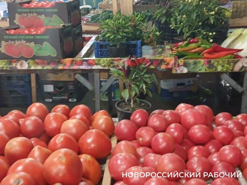 На рынках Новороссийска появился огненный чили в горшках — съедобное украшение для кухни