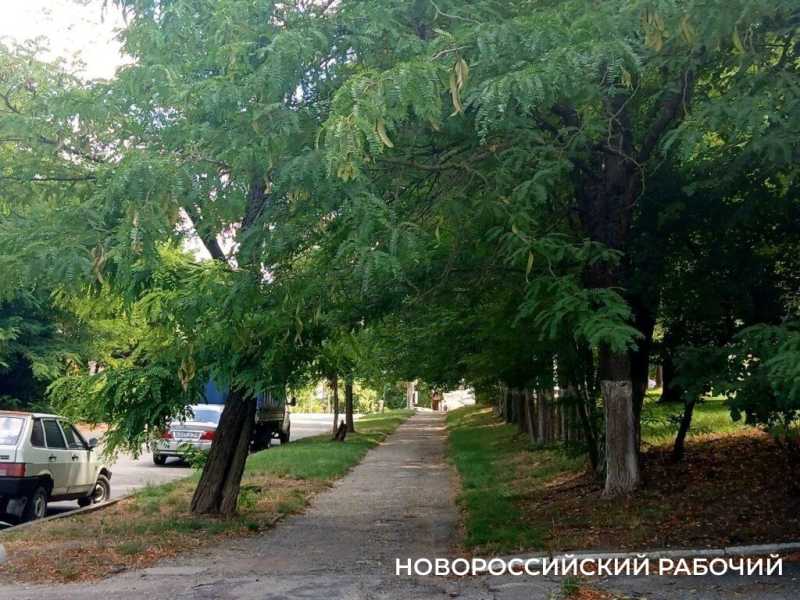 &laquo;Не ориентироваться на вандалов&raquo;: в Новороссийске обсудили будущее Октябрьской площади