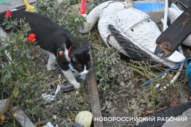 Новороссийцы, чьи дома пострадали, делятся переживаниями о жуткой ночи