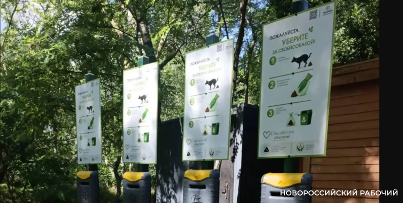 Пионерскую рощу очистят от собачьих «сюрпризов» — установлены специальные урны