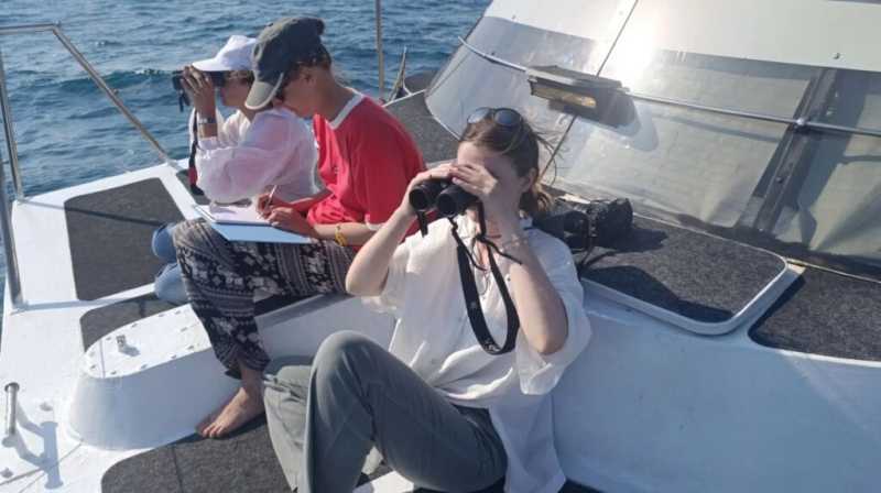 Под Новороссийском стартовала экспедиция по изучению дельфинов Черного моря