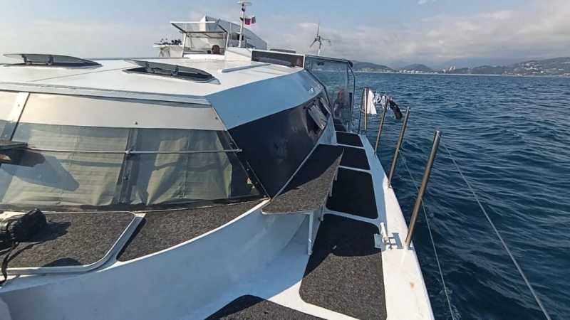 Под Новороссийском стартовала экспедиция по изучению дельфинов Черного моря