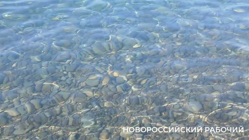 Раннее утро на пригородном пляже Новороссийска – лучшее время для встречи с морем