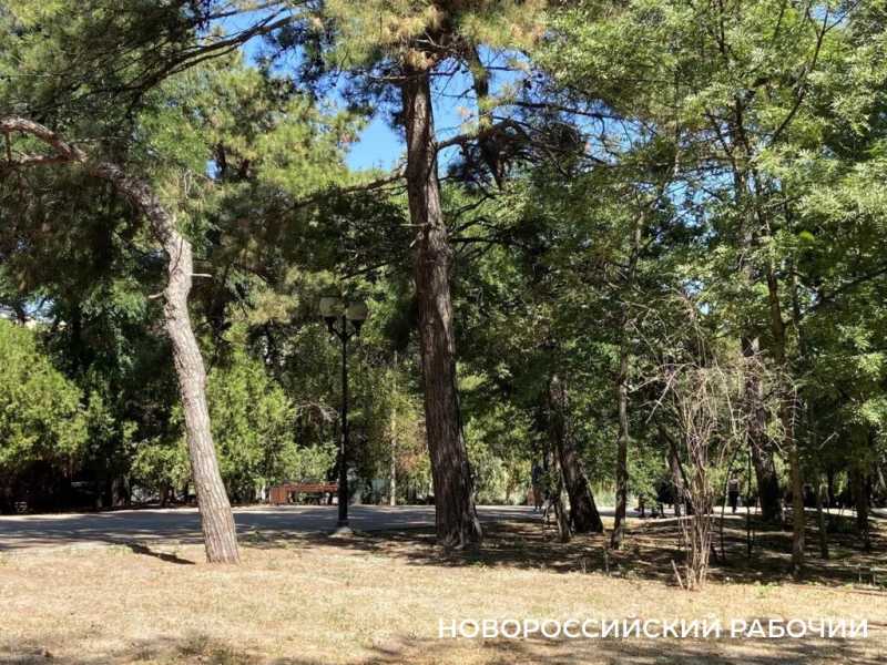 В эти дни ленинский парк дарит новороссийцам самое главное