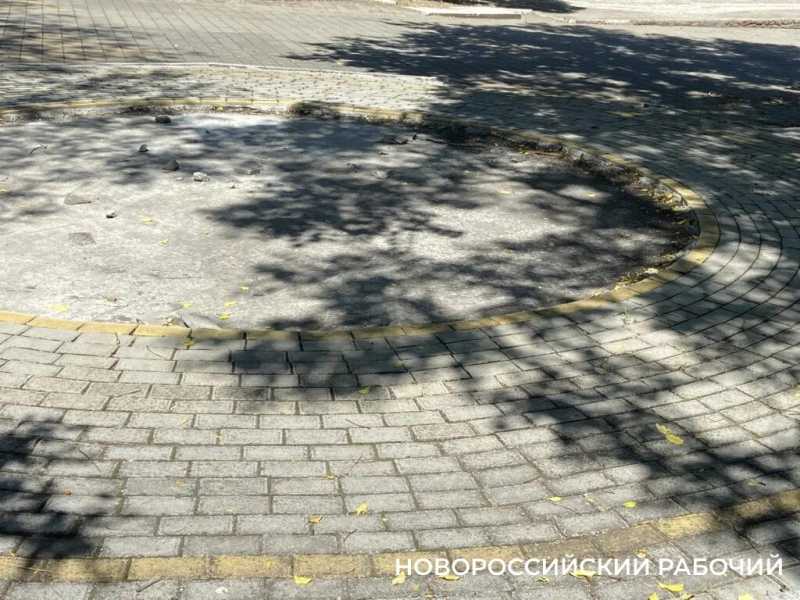 В эти дни ленинский парк дарит новороссийцам самое главное