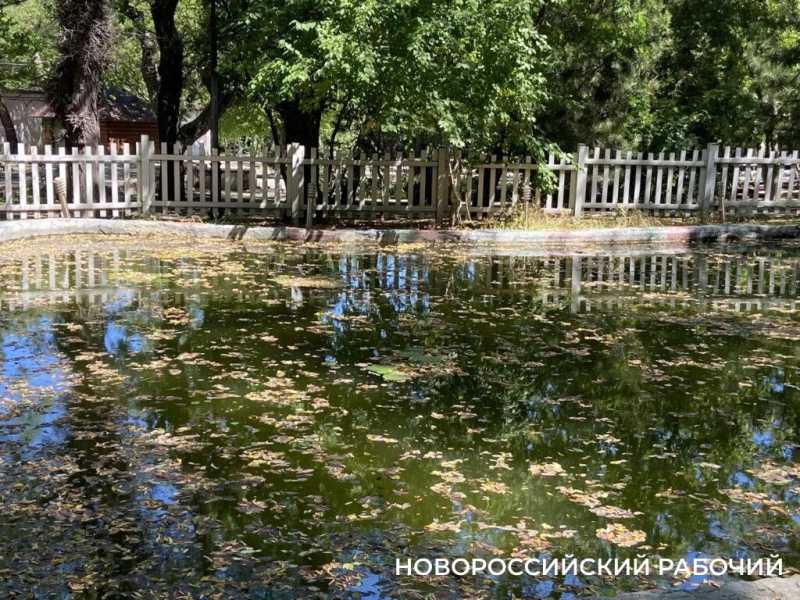 В эти дни ленинский парк дарит новороссийцам самое главное