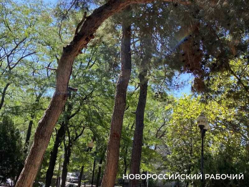 В эти дни ленинский парк дарит новороссийцам самое главное