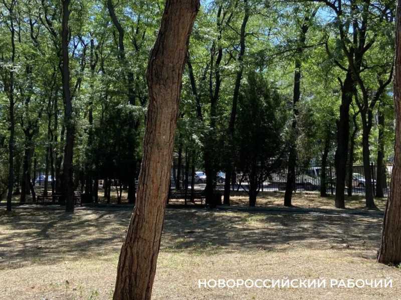 В эти дни ленинский парк дарит новороссийцам самое главное
