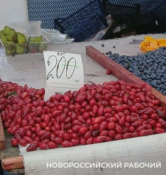 В Новороссийске идет сезон кизила: лесная и садовая ягода дешевеет