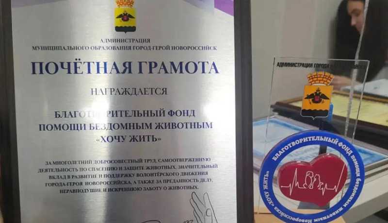 В Новороссийске открылась первая и единственная в Краснодарском крае социальная ветеринарная клиника благотворительного фонда &laquo;Хочу Жить&raquo;