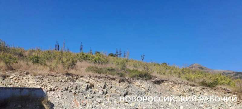В Новороссийске простились с мальчиком, погибшим во время ночной атаки