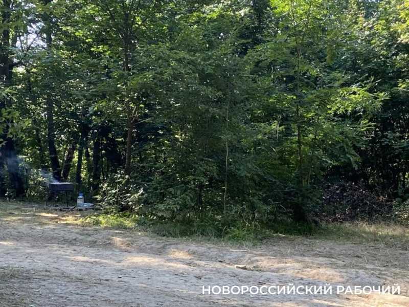 В Новороссийских лесах действует особый противопожарный режим