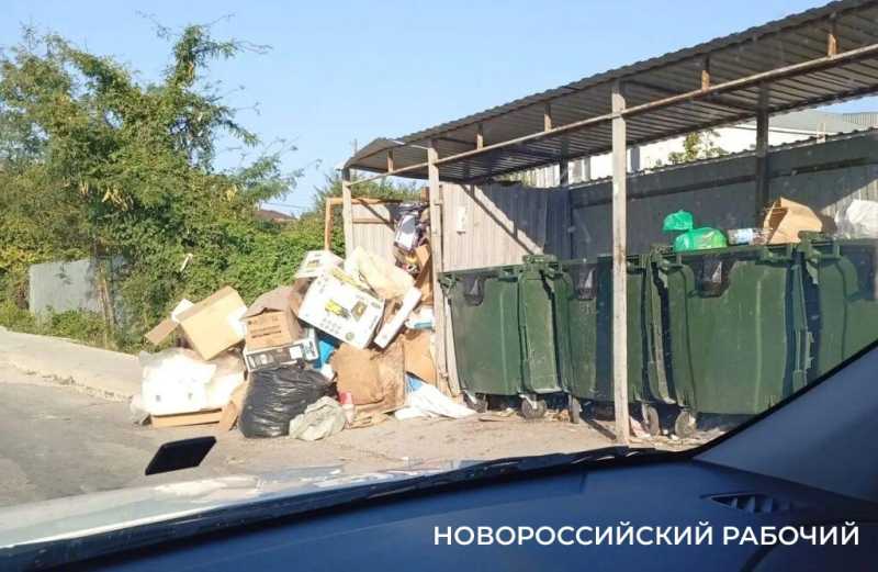 В пригороде Новороссийска люди ходят по дороге, потому что тротуар завален мусором