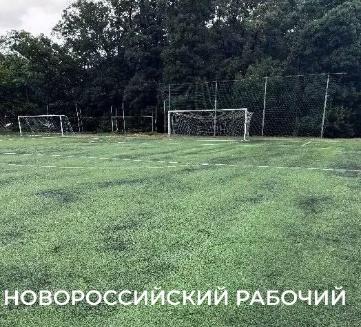 В пригороде Новороссийска просят не отдавать футбольное поле под винный проект
