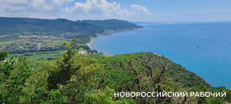 Вот козлы! В заповедных горах Новороссийска идет охота на одичавшее стадо