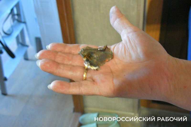 &laquo;Вышла попить и тут &ndash; взрыв&raquo;. В Новороссийске в одну 9-этажку попали два БПЛА