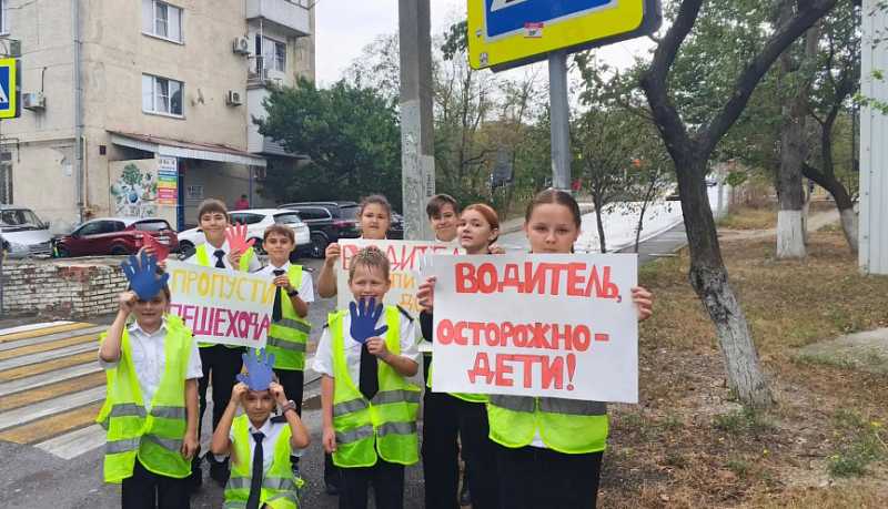 Безопасность превыше всего: в Новороссийске прошел флешмоб «Уступи дорогу пешеходу!»