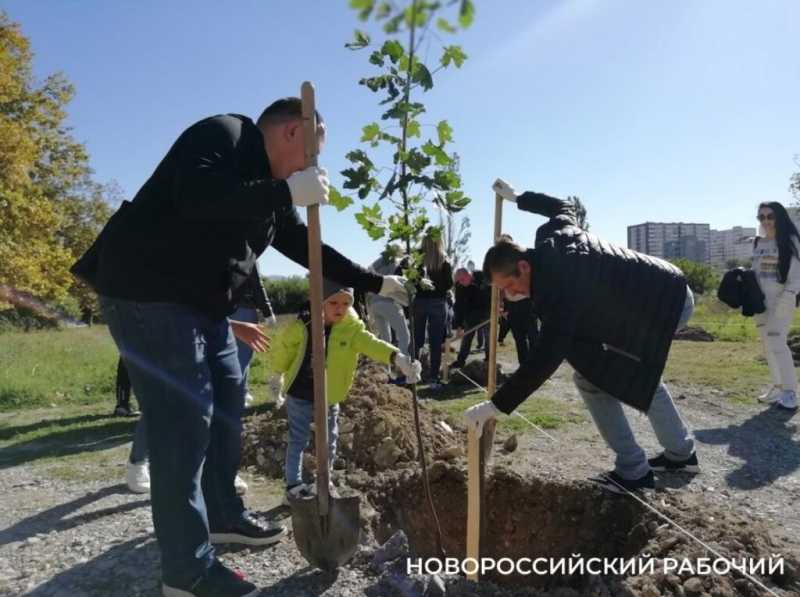 Будущий парк &laquo;Южные пруды&raquo; в Новороссийске пока напоминает пустыню